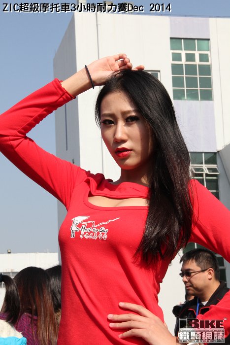 model (20)